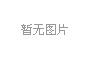 生命人寿六西格玛管理咨询