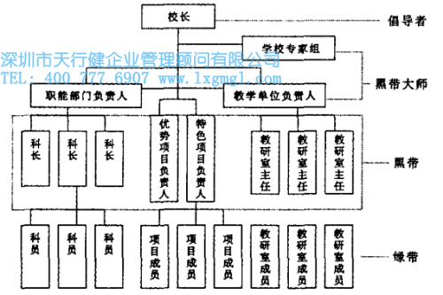 1425613480719825.jpg 图2 微观层面组织模型.jpg