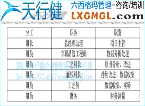 项目团队成员分工 项目团队成员分工