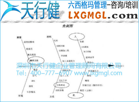 鱼刺图 鱼刺图