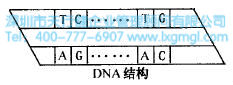 什么是六西格玛创新设计的原动力