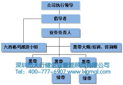 如何建立持续推进六西格玛管理的组织机构