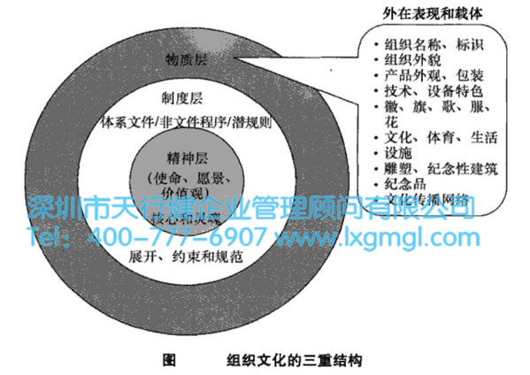企业为什么要建立持续改进和创新的组织文化