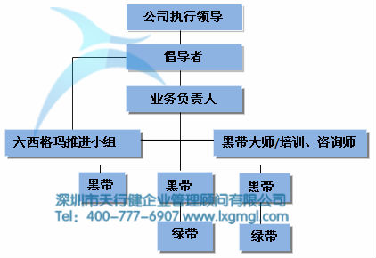六西格玛实施过程中各重要部门的职能
