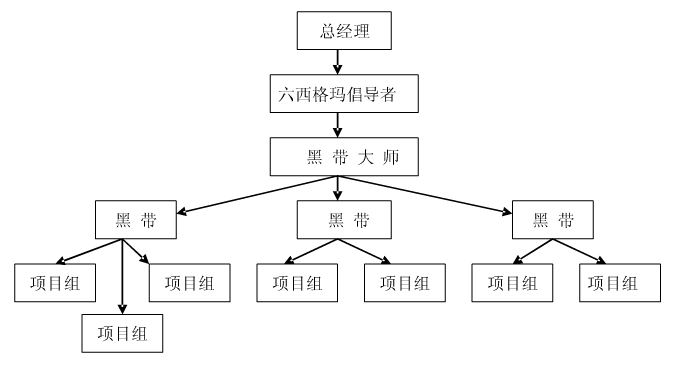 六西格玛项目执行团队的人员结构剖析    