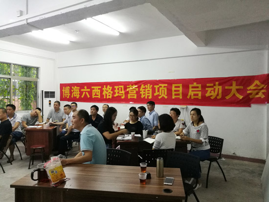 中山博海营六西格玛营销项目启动