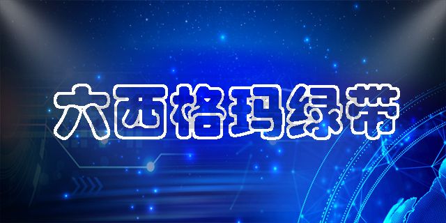 六西格玛绿带手册之六西格玛管理解决企业难题的作用