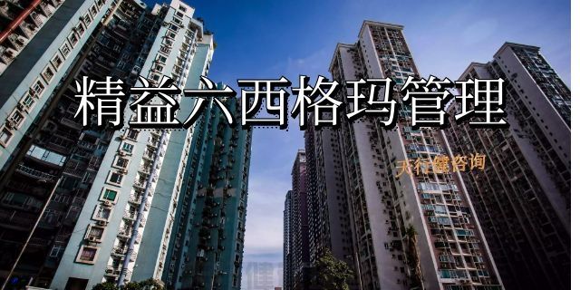 精益六西格玛推广方案（通用版）