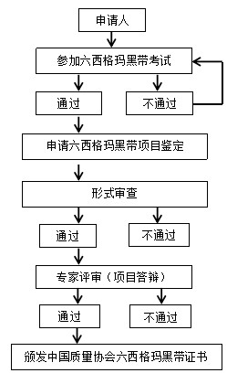 2021年度中国质量协会六西格玛黑带项目