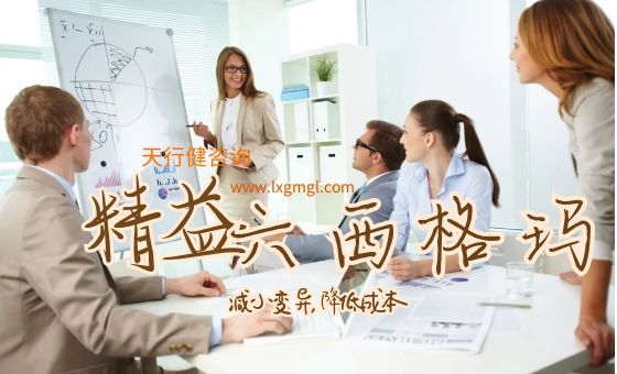 精益六西格玛项目在F集团M产品事业处实施总结