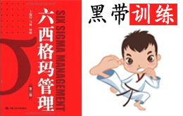 六西格玛黑带全套经典培训PDF课程下载
