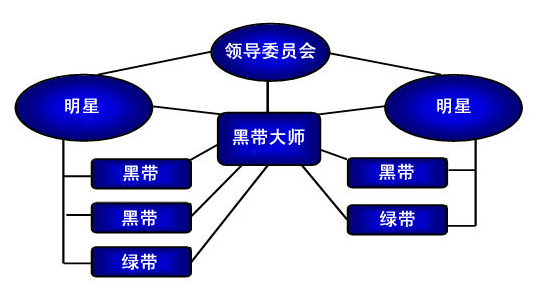 企业领导在实施六西格玛管理中的职责有哪些