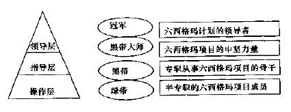 六西格玛管理团队组织模式创新